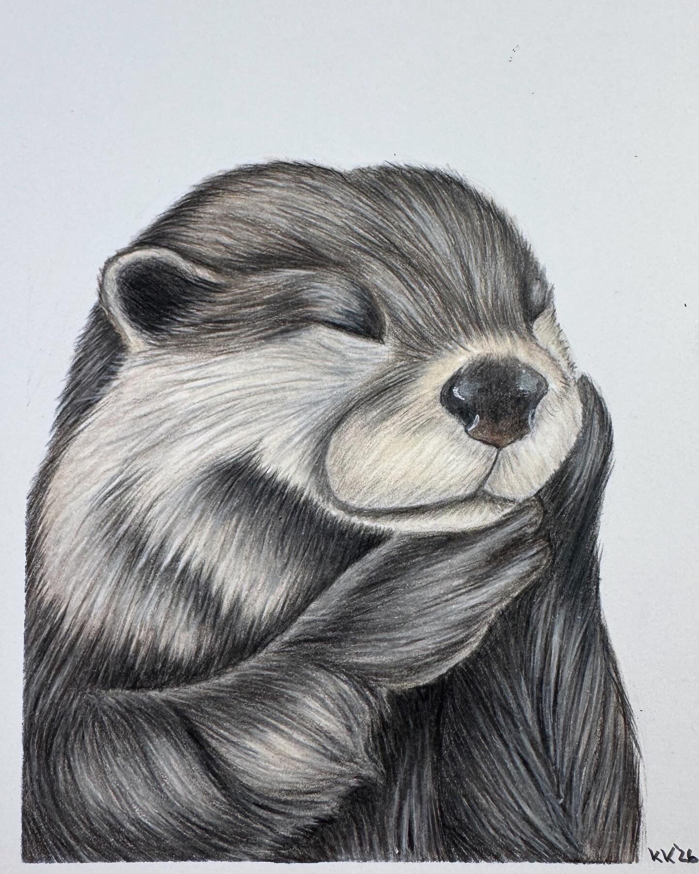Poster "Otter"