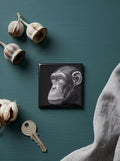 Magnet "Affe"