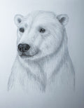 Poster "Eisbär"