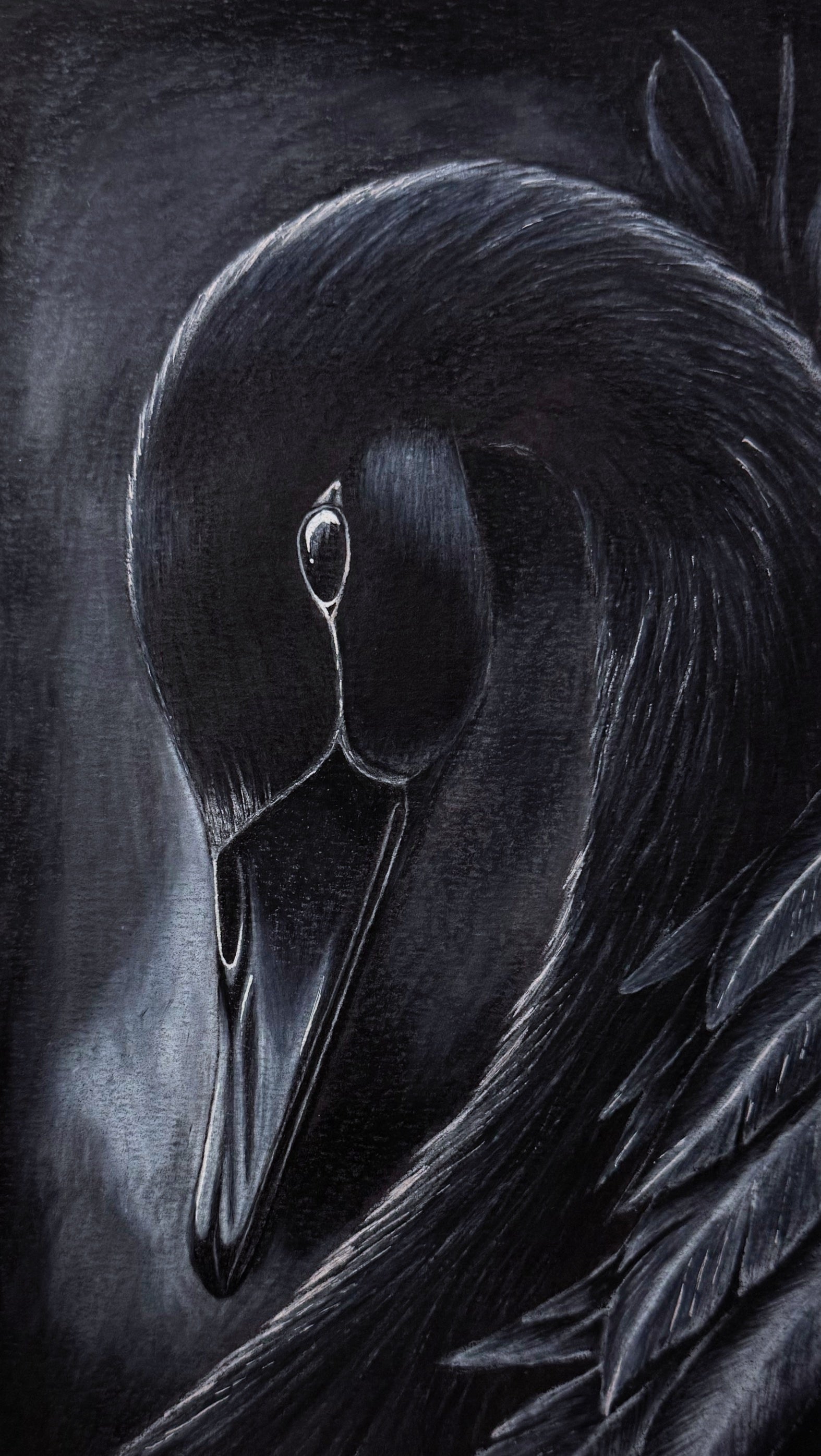 Poster "Black Swan"