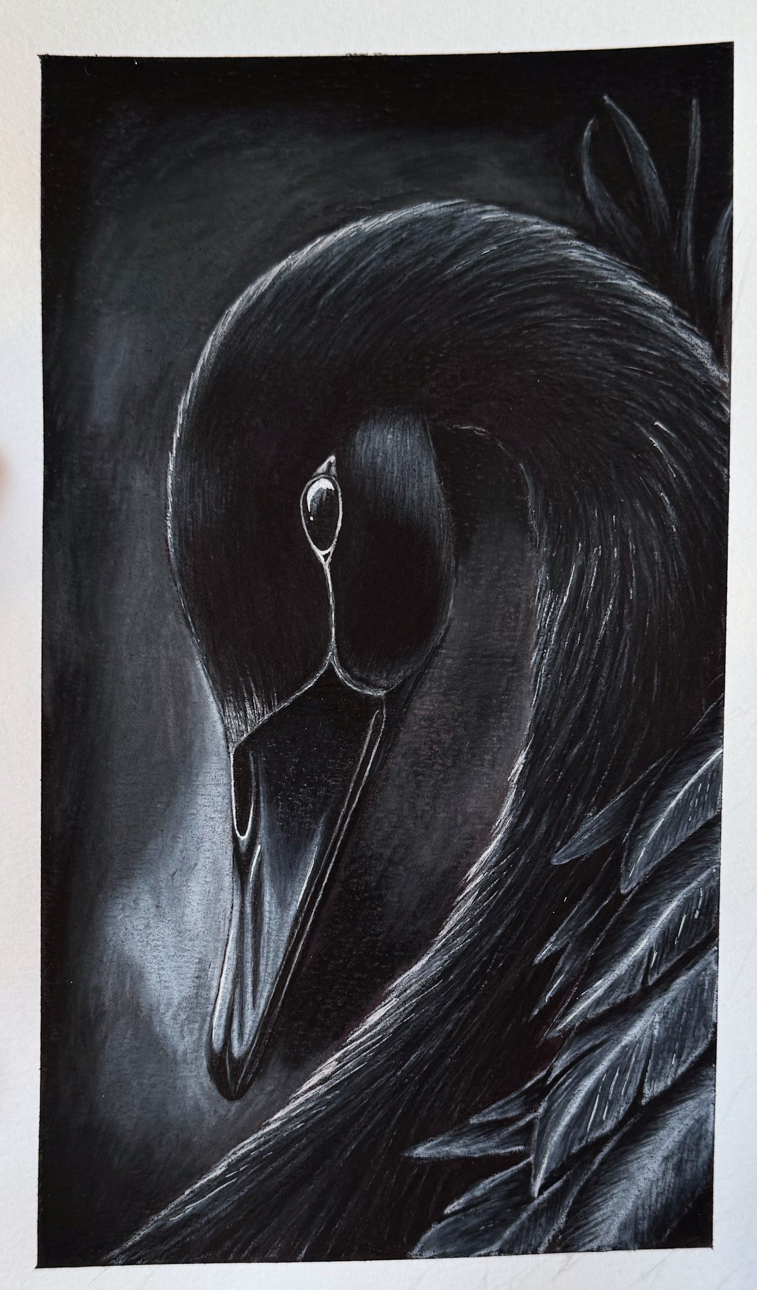 Poster "Black Swan"